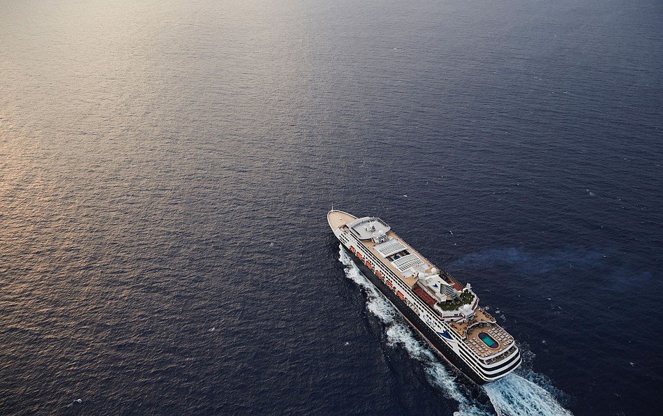 Vegan Travel Vasco da Gama